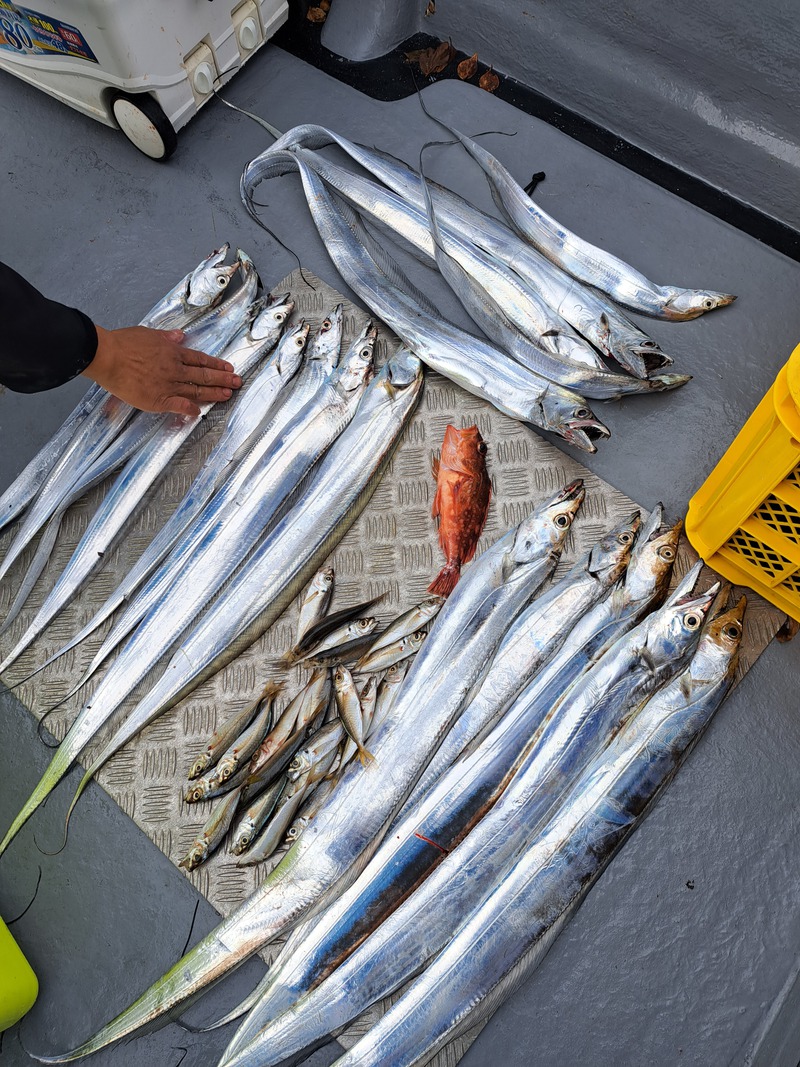 久しぶり沖釣り