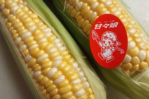 かんかん娘！販売