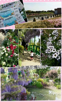 浜名湖花博2014♡