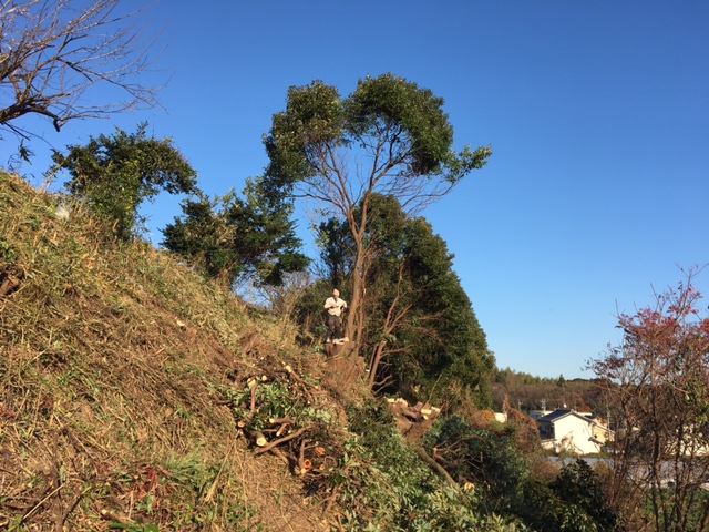 林業家の伐採技術