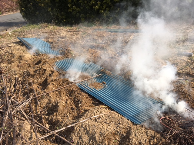イモのつるの蒸し焼き