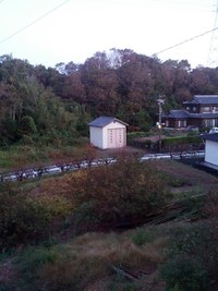 おはようございます！