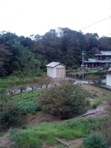 おはようございます！