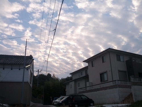 ウォーキング日記