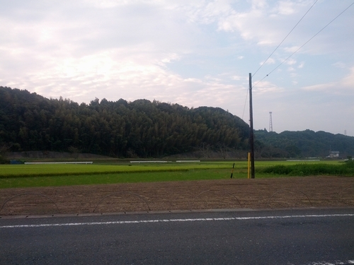 ウォーキング日記