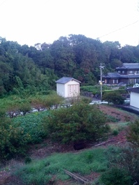 おはようございます！ 2012/09/26 05:55:23