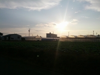 ウォーキング日記　２４．１０．８ 2012/10/08 20:00:00