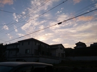 ウォーキング日記　２４．１０．１３ 2012/10/13 22:00:00