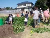 加藤農園での芋掘り体験 2012/11/02 16:00:00