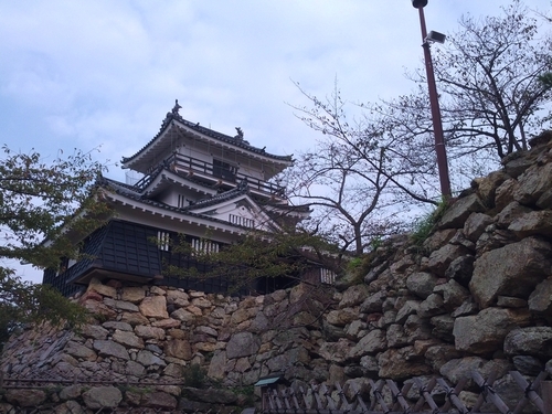 ウォーキング日記