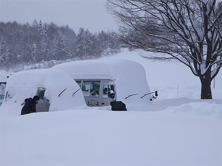 もふっ。。。