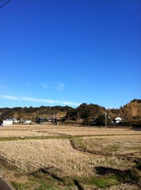 あけましておめでとうございます 2013/01/01 16:50:08