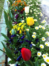 春～ 2013/04/11 00:49:17