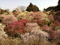 龍尾神社 2013/03/09 22:56:14