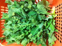 大好物(^O^) 2013/03/01 10:33:02