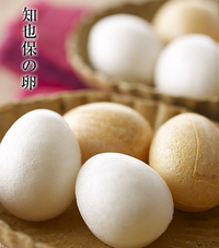 新☆メンバー