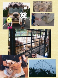 カピバラをみたい！ 2014/08/30 11:40:49