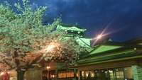 岡崎城の夜桜 2014/04/03 08:33:22