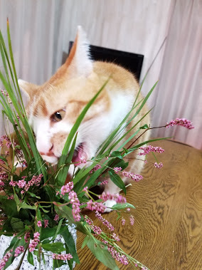 お花が　　　そら
