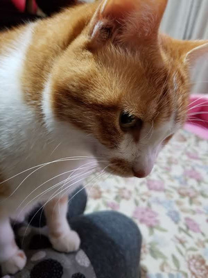冬はいいな　そら