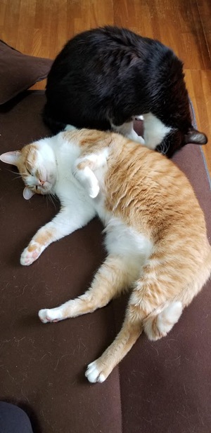 ３月の寒い日