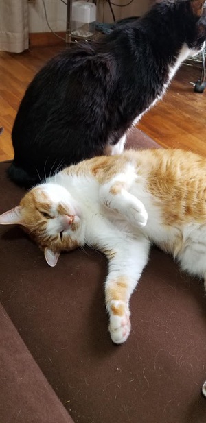 ３月の寒い日