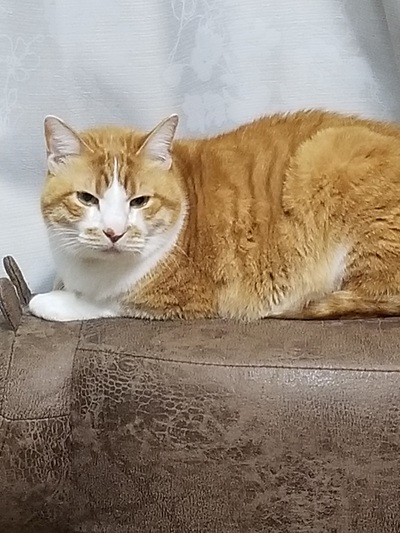 そらちゃん　10才