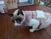 姫　防寒着 2024/12/02 15:11:18