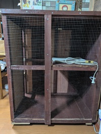 姫　お部屋に 2024/12/27 22:05:01