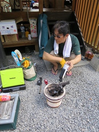 キャンプでしたー♪ 2015/08/24 19:16:51