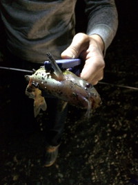 Spiral魚釣部発足？！ 2015/07/22 14:48:28