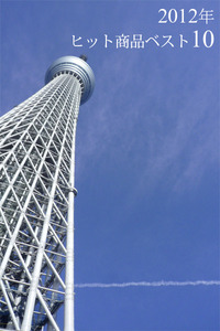 2012年ヒット商品ランキングいくつ持ってる？