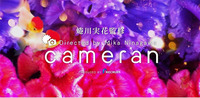 「cameran」蜷川実花監修カメラアプリAndroid版がリリース