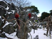 伊豆旅行