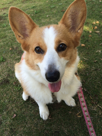 公園 2014/11/09 17:08:18