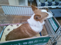 4月12日の記事 2014/04/12 15:22:28