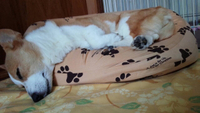 暑い〜 2015/08/11 12:56:58