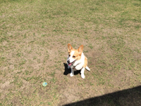 ゴールデンウイーク 2015/05/02 18:52:35