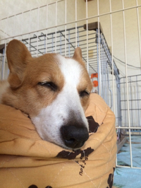 zzz 2016/08/20 16:54:16