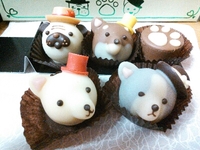 チョコ 2013/03/02 21:44:39