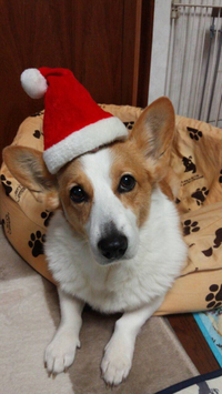 クリスマスイブ 2015/12/24 21:38:10