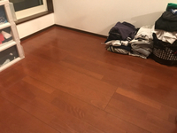 やっと見えた！床！ 2019/02/21 20:31:39