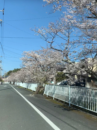 第６回浜松市新型コロナウイルス感染症対策本部会議について 2020/04/07 15:04:12