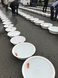 駿河らんちう会