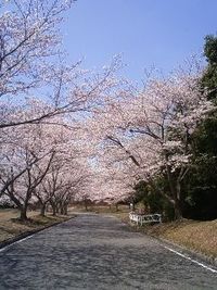 つま恋 2009/04/06 17:47:16