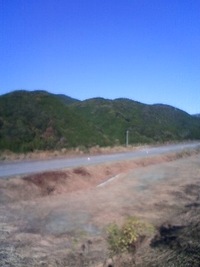 真っ白け 2009/11/25 17:43:09