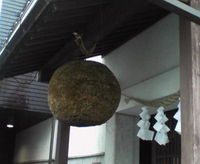 新春！杉玉