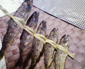 山女魚三昧♪