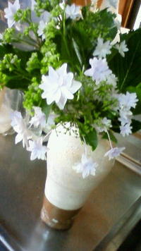 隅田の花火♪ 2009/06/03 17:21:48