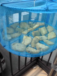 あけましておめでとうございます( ^-^)。 2012/01/01 10:48:04